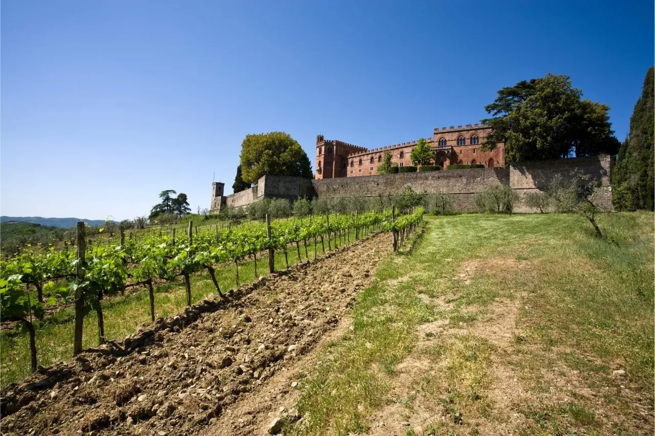 Un vigneto rigoglioso si estende verso un antico castello in mattoni rossi, un'immagine iconica della strada dei castelli del Chianti.