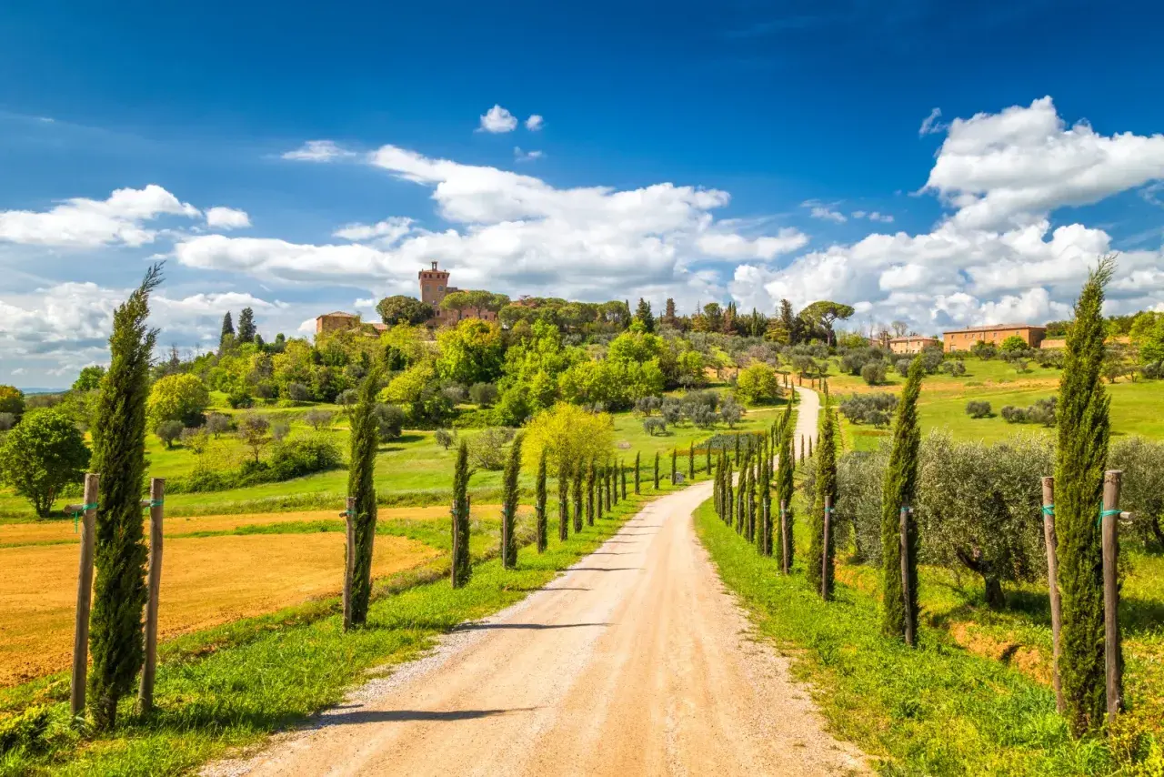 A winding dirt road lined with cypress trees leads to a Tuscan village on a hill under a blue sky.