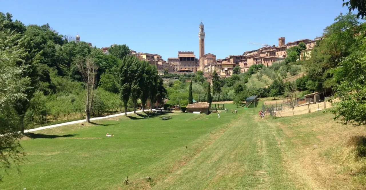 Prato verde con alberi e la città di Siena sullo sfondo, con la Torre del Mangia visibile. Un luogo tranquillo, forse l'orto dei pecci siena.