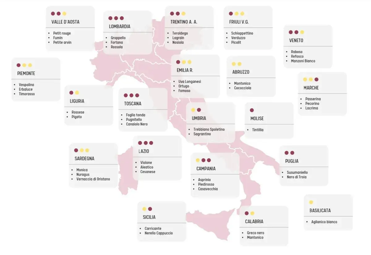 Mappa dell'Italia con i vitigni tipici per regione. Scopri quanti vitigni ci sono in Italia, da nord a sud.