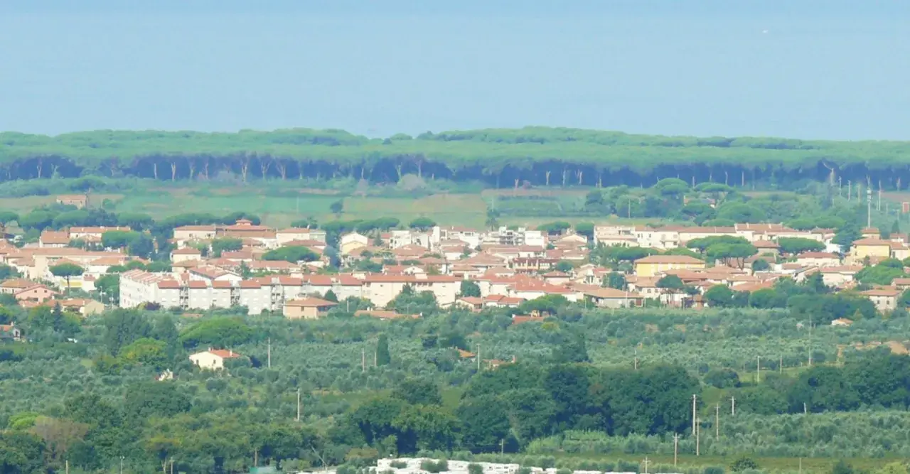 Panoramica di Donoratico, con case dai tetti rossi immerse nel verde degli ulivi e una pineta sullo sfondo. Cosa vedere in questo scorcio di Toscana.