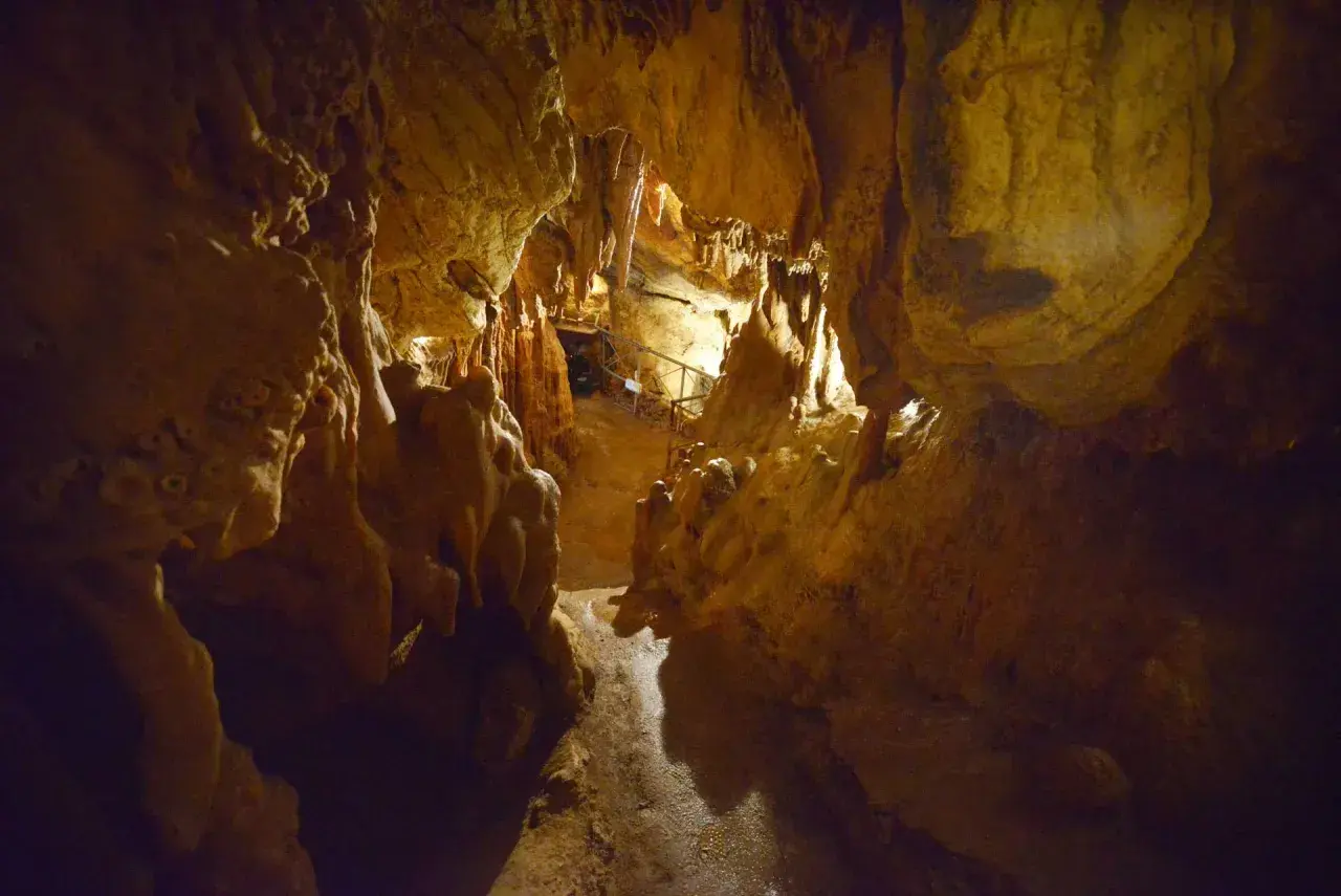 Interno della grotta Maona, con stalattiti e stalagmiti illuminate, sentiero e ringhiere per i visitatori.