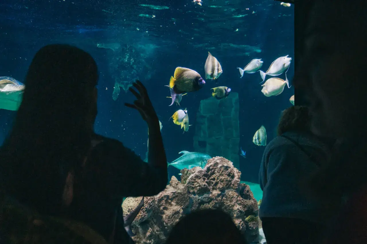 Persone osservano pesci colorati e tartarughe nell'acquario di Livorno.