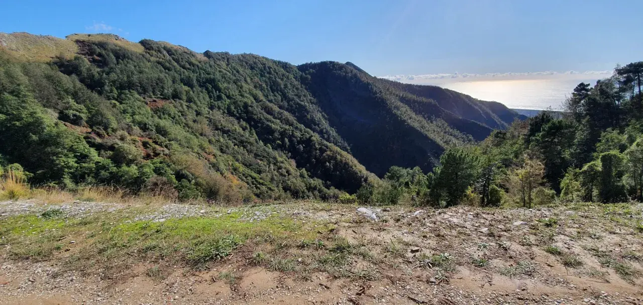 Panoramica di montagne boscose con il mare all'orizzonte, un paesaggio che evoca la serenità del pasquilio massa.