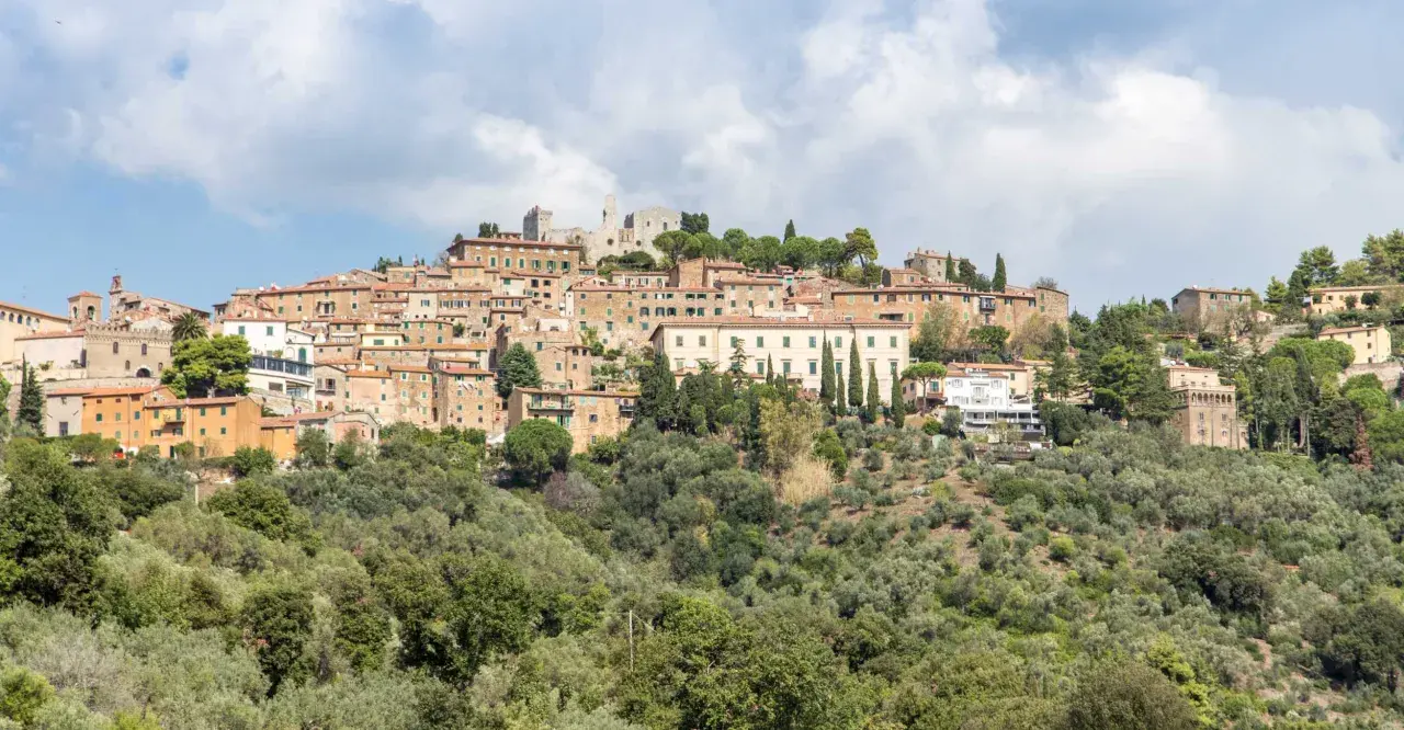 Panoramica di un borgo collinare con case in pietra e tetti rossi, circondato da uliveti. Marina di Campiglia, un gioiello toscano.