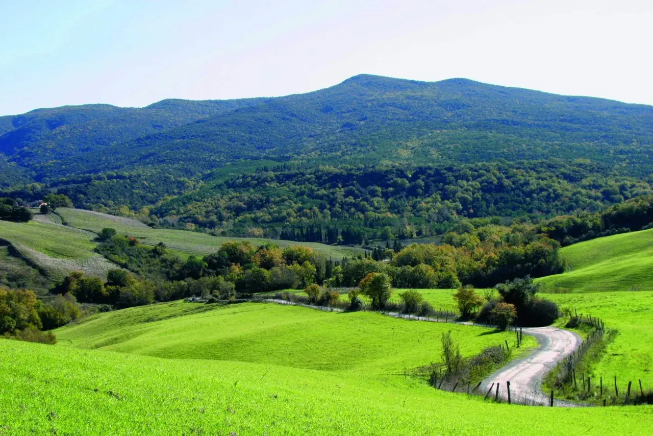 Dolci colline verdi nel Val di Cecina, con una strada tortuosa che serpeggia tra prati e boschi.