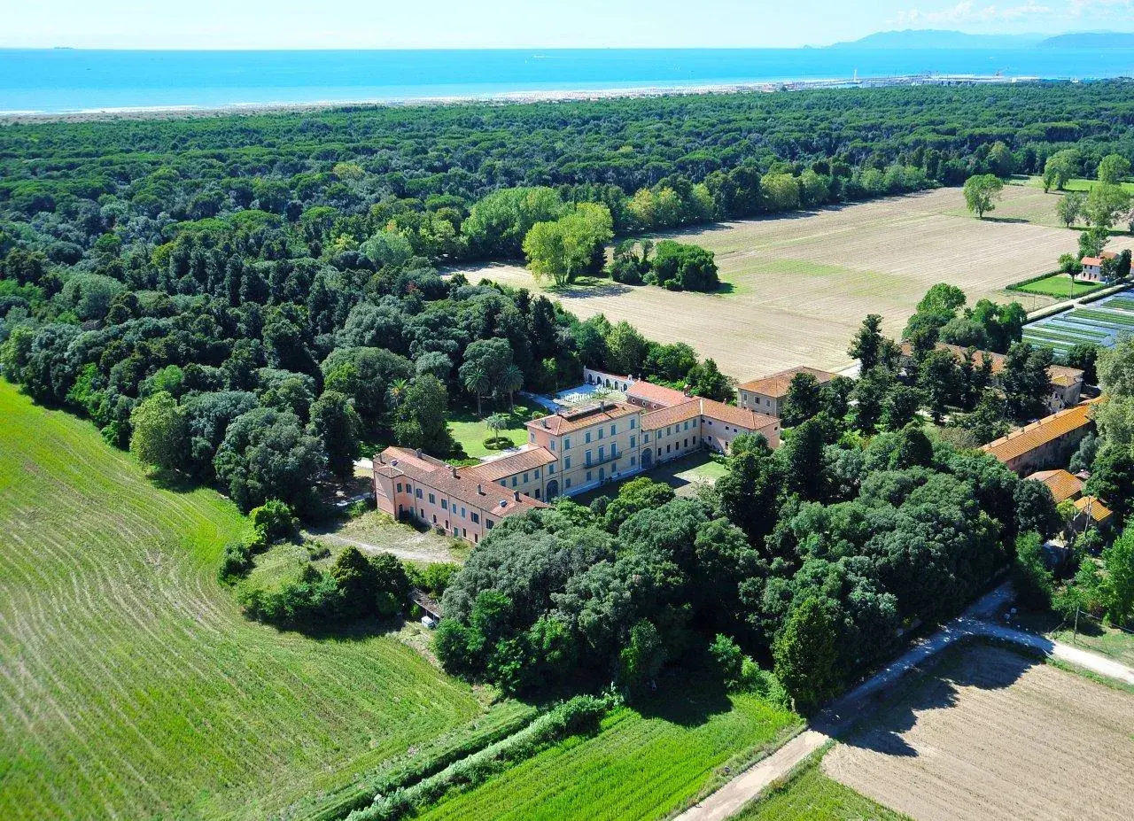 Villa storica immersa nella pineta di levante, con campi coltivati e il mare all'orizzonte.