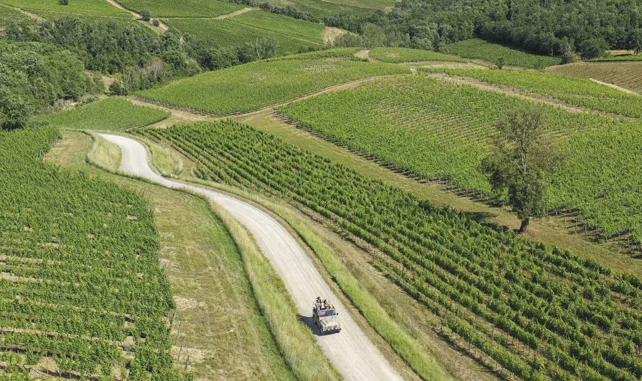Un tour cantine Chianti in fuoristrada tra dolci colline e vigneti rigogliosi.