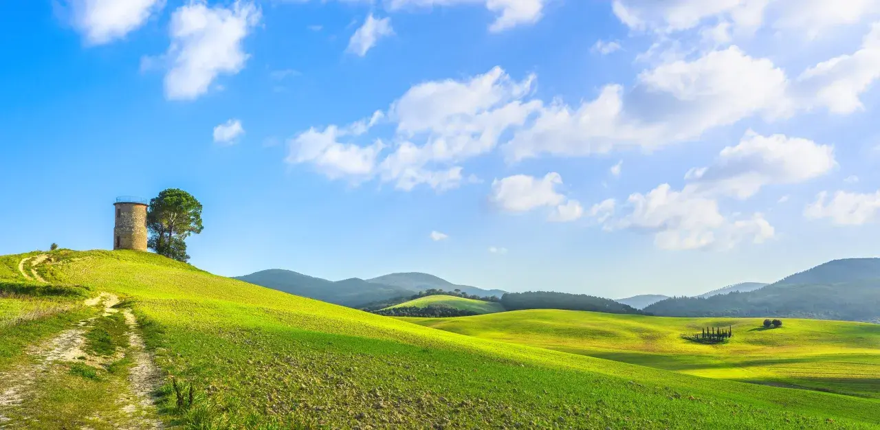 Colline verdi sotto un cielo azzurro con nuvole bianche, un sentiero sterrato conduce a una torre antica. Paesaggio tipico per i vini toscani.