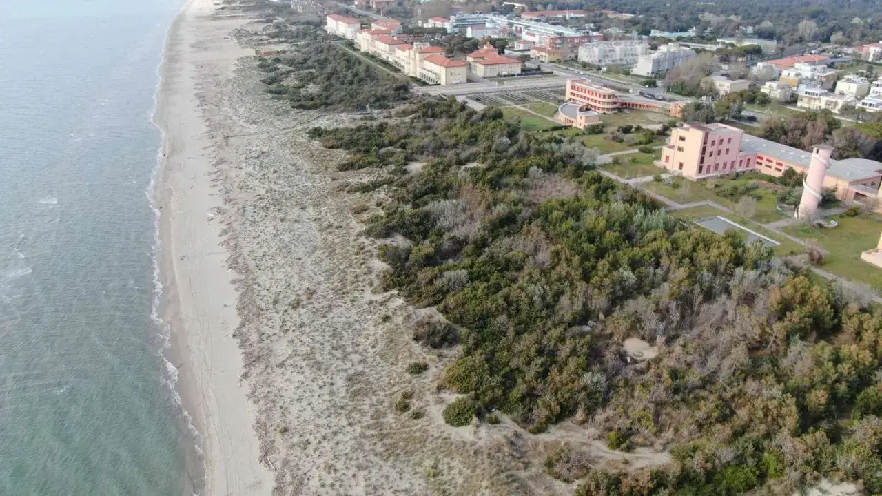 Vista aerea di Marina di Tirrenia: spiaggia sabbiosa, dune, pineta e edifici moderni.