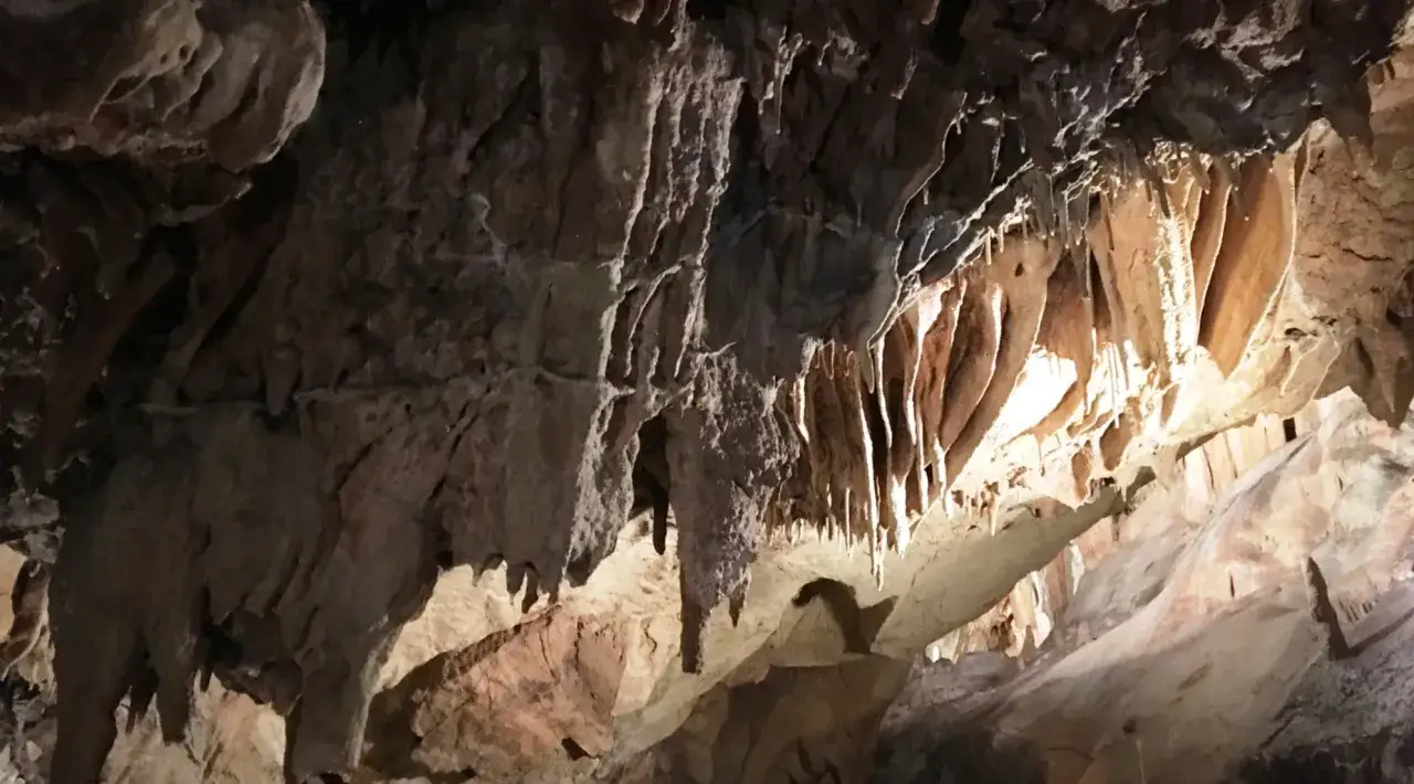 Stalattiti e stalagmiti creano forme suggestive all'interno della grotta Maona, un mondo sotterraneo scolpito dall'acqua.