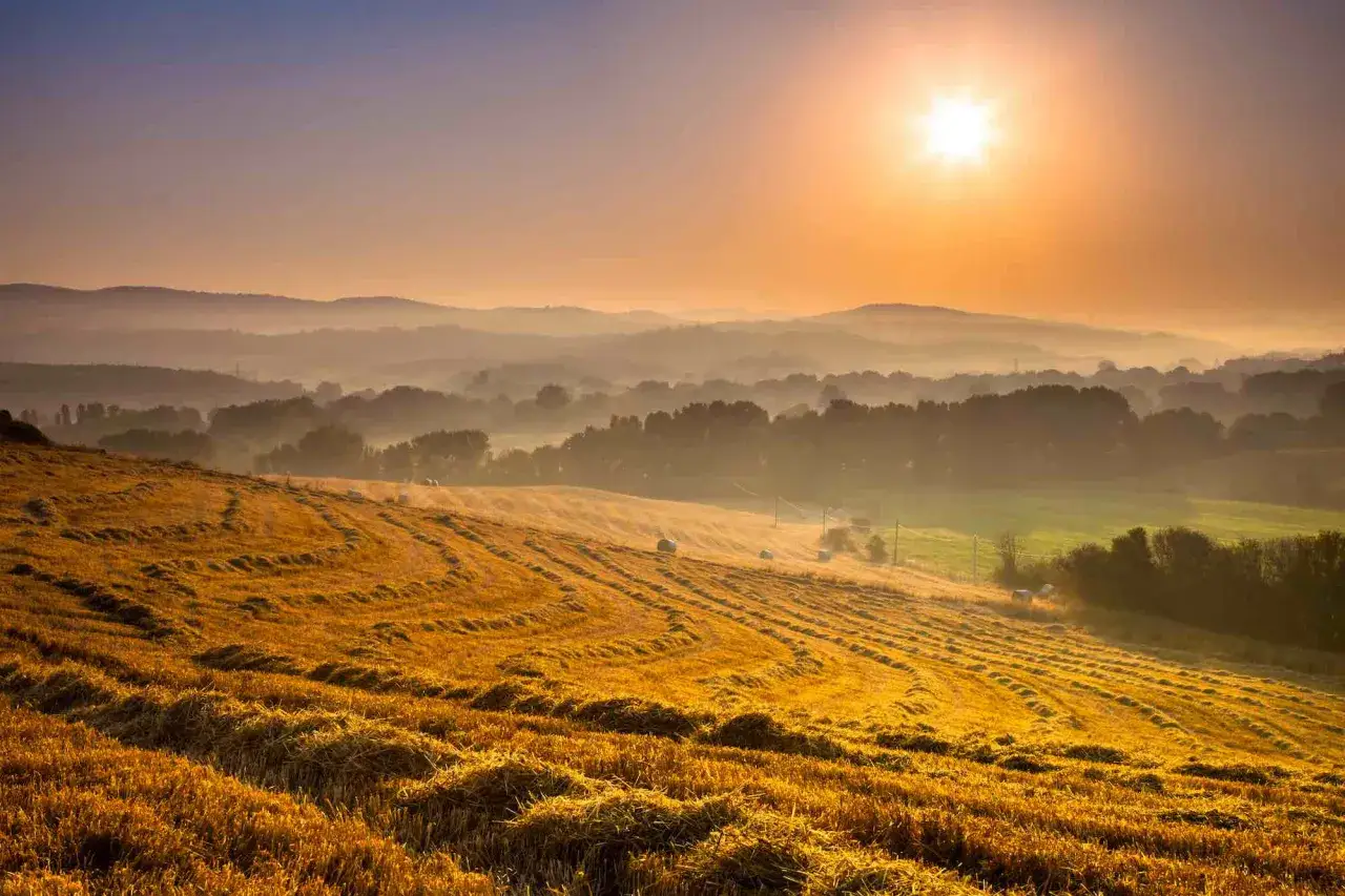 Campi dorati nel Val di Cecina al tramonto, con balle di fieno sparse e colline nebbiose all'orizzonte.