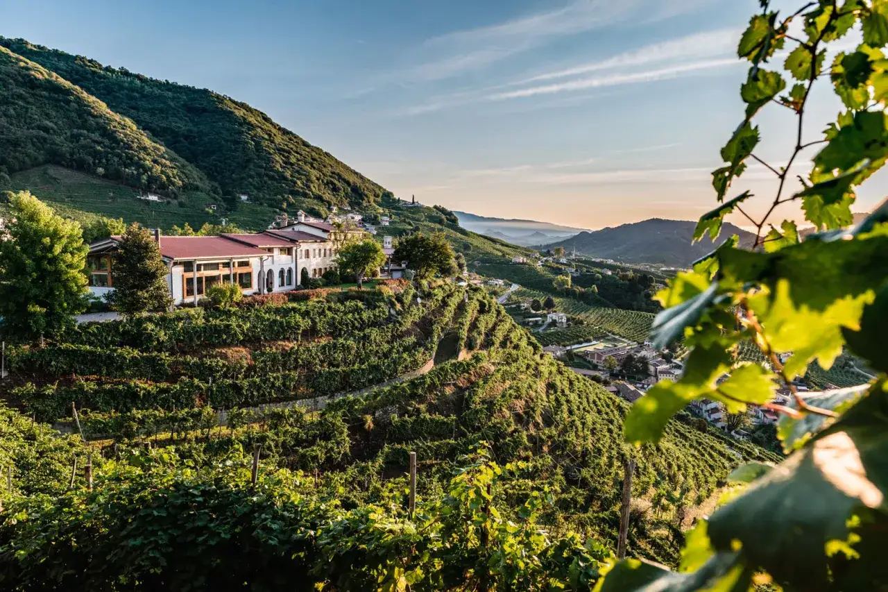 Vigneti terrazzati su dolci colline, con una villa bianca e il paesaggio che evoca il famoso prosecco.