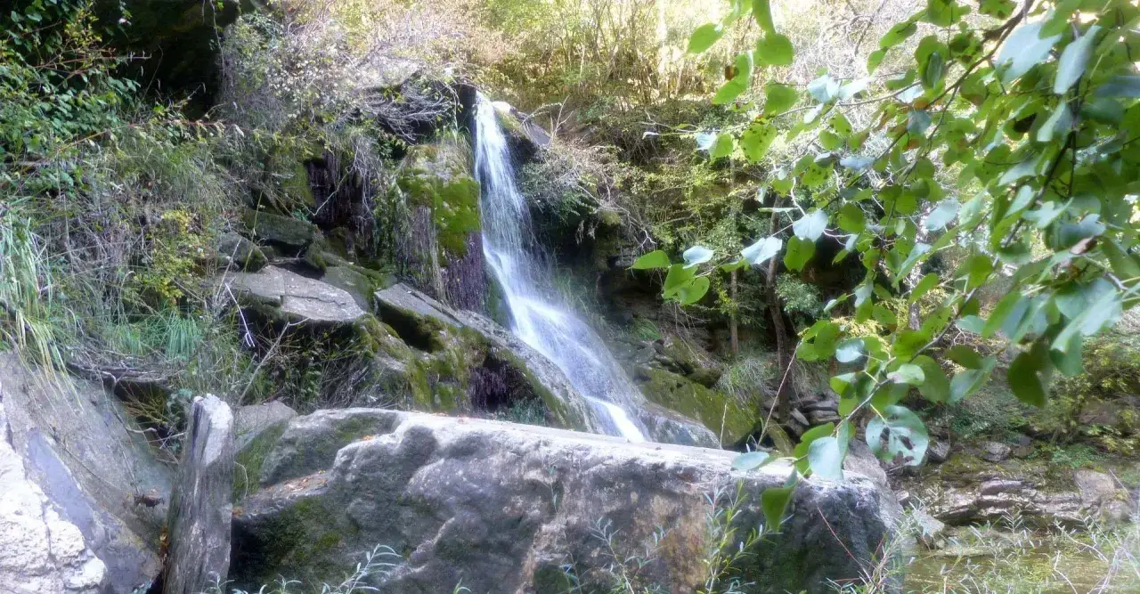 Cascate naturali vicino Monteverdi Marittimo, con rocce ricoperte di muschio e vegetazione lussureggiante.