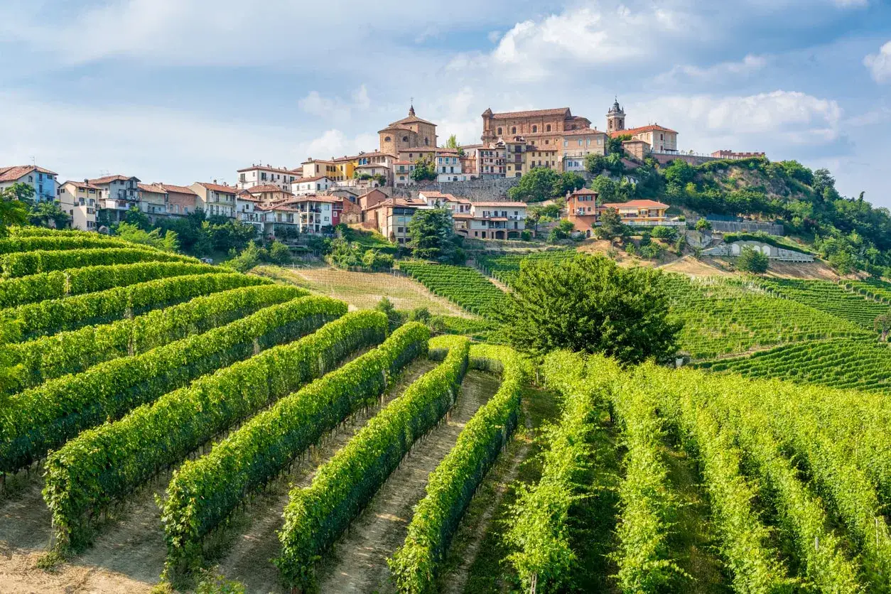 Colline piemontesi con vigneti rigogliosi e un borgo arroccato. Quanti vitigni ci sono in Italia? Tantissimi, come dimostra questo paesaggio.
