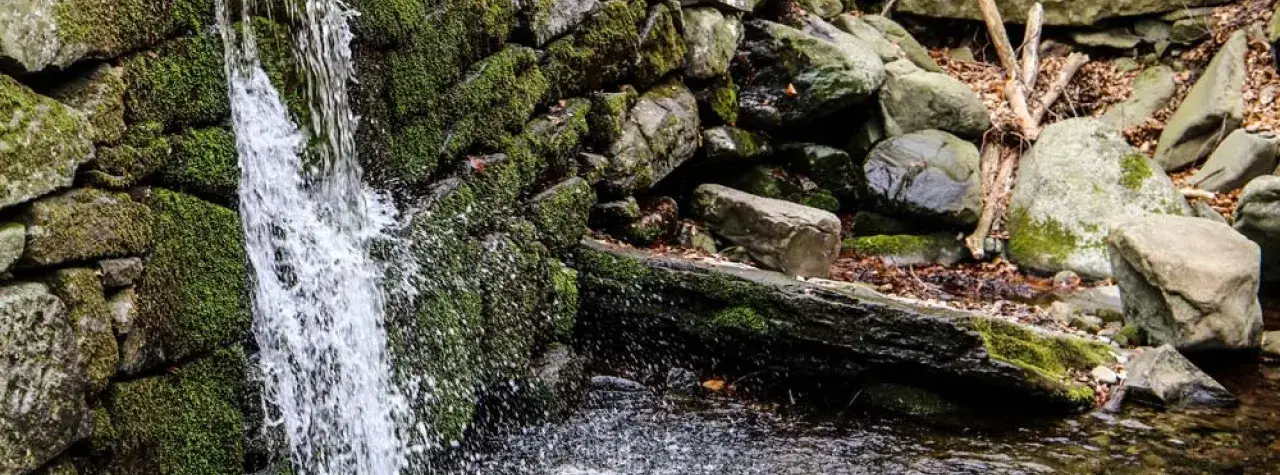 Cascata d'acqua scrosciante su rocce muschiose nella foresta di Sant'Antonio.