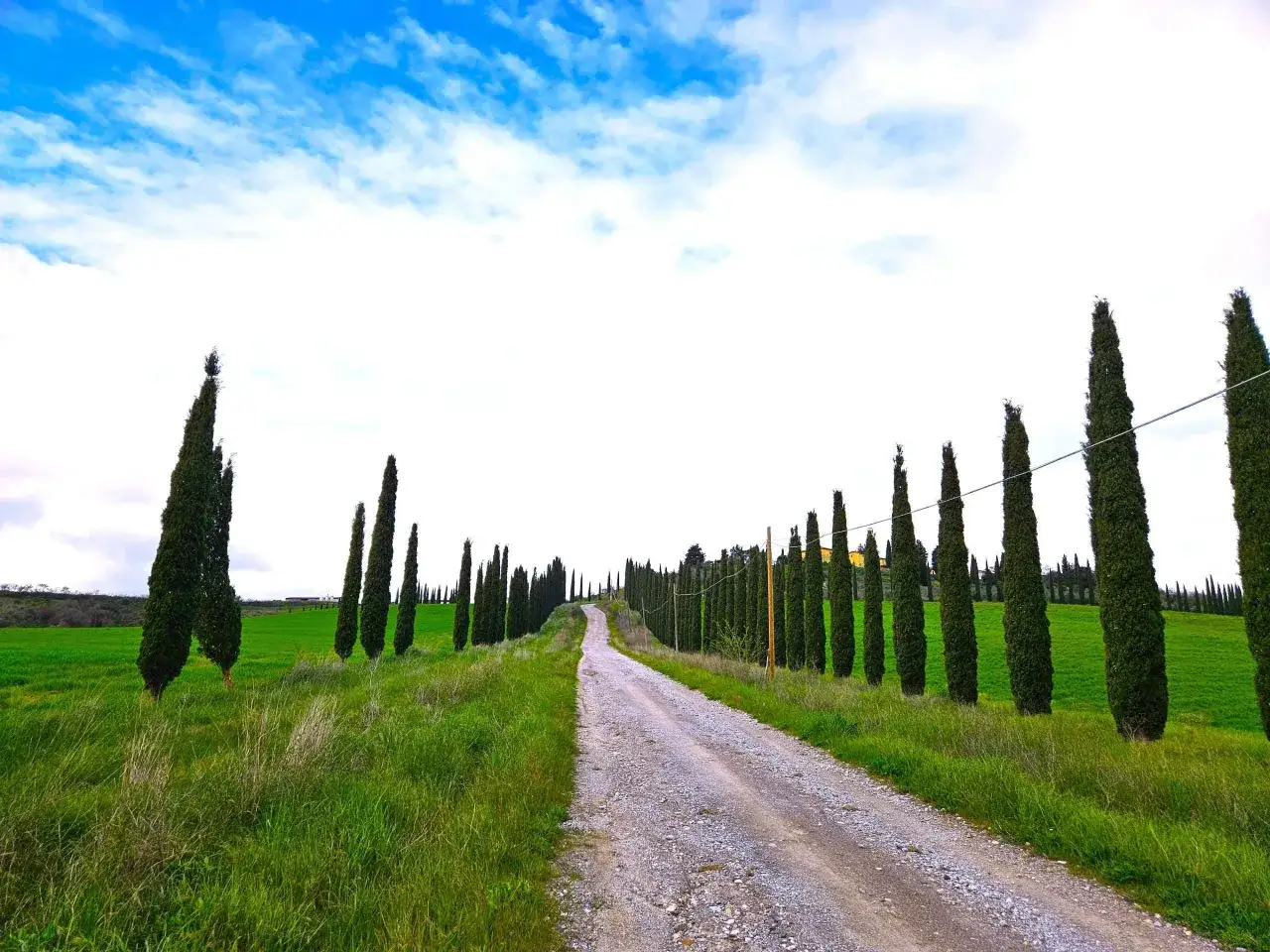 Strada sterrata serpeggia tra verdi colline e filari di cipressi, un classico paesaggio della campagna toscana sotto un cielo azzurro e nuvoloso.