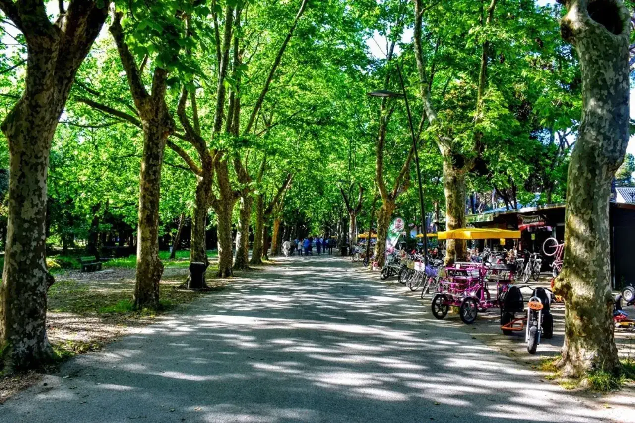 Viale alberato nella pineta di levante, con panchine, cestini e biciclette a noleggio.
