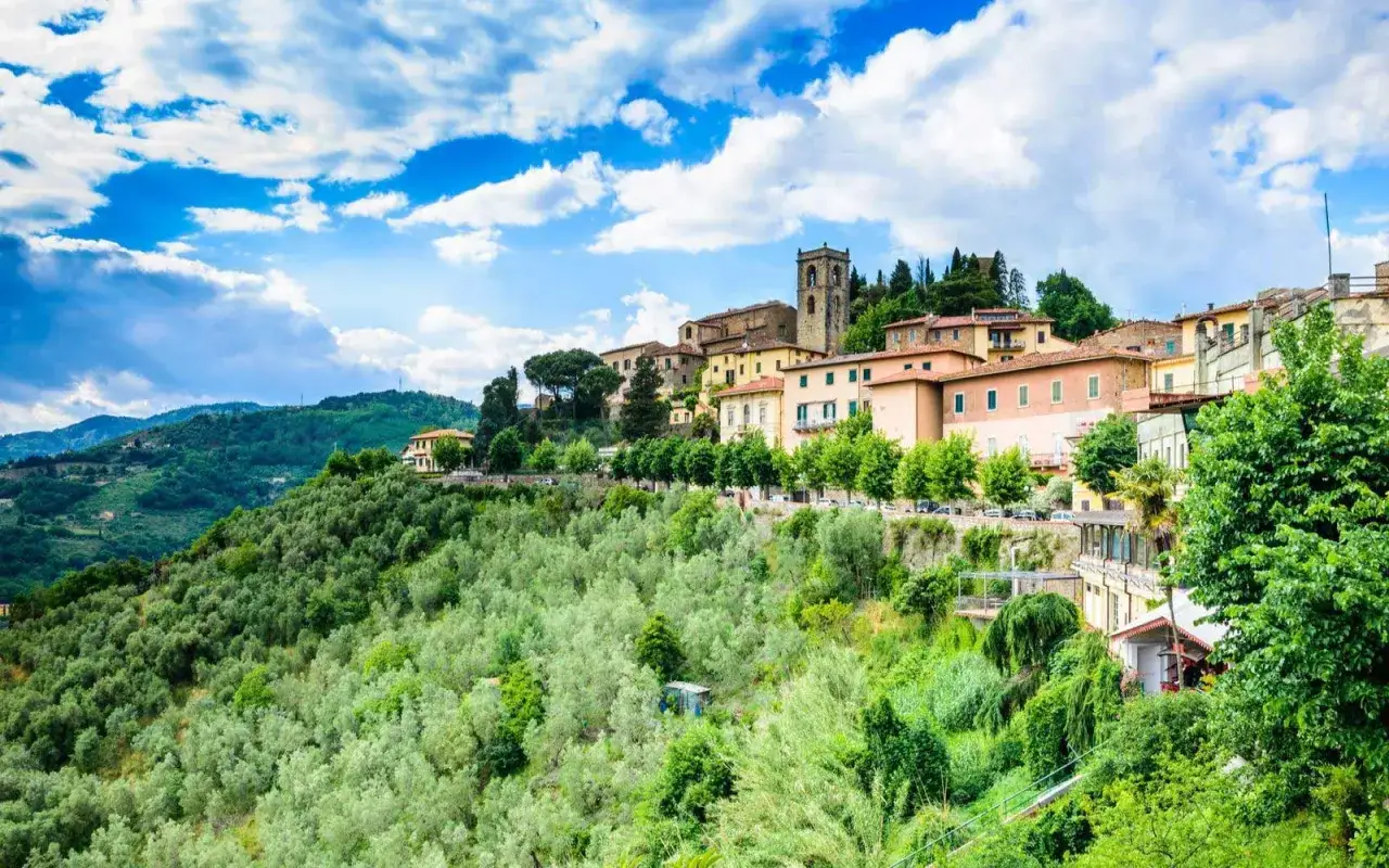 Un borgo toscano con case colorate e un campanile si affaccia su una collina ricoperta di ulivi. Montecatini Alto, un gioiello incastonato nel verde.