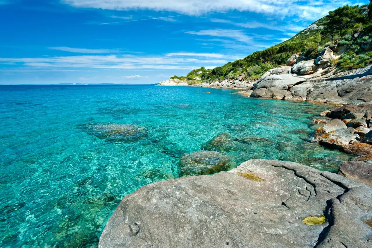 Acque cristalline e scogliere rocciose sull'isola d'Elba, con il blu intenso del mare che incontra il verde della vegetazione.