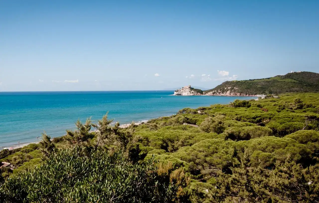 Vista panoramica della costa di Marina di Grosseto con mare azzurro, spiaggia e pineta rigogliosa.