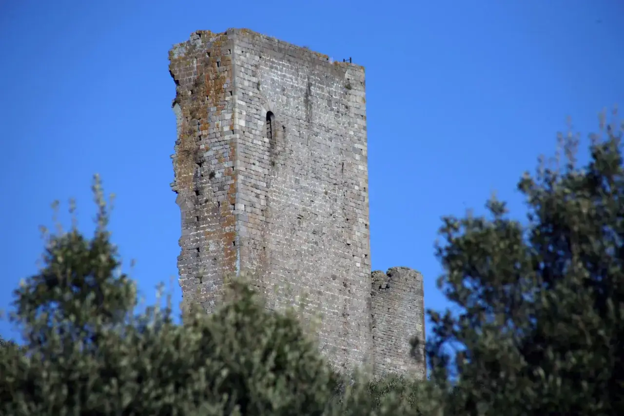 Torre medievale in rovina a Donoratico, tra alberi verdi e cielo azzurro. Un luogo storico da esplorare.