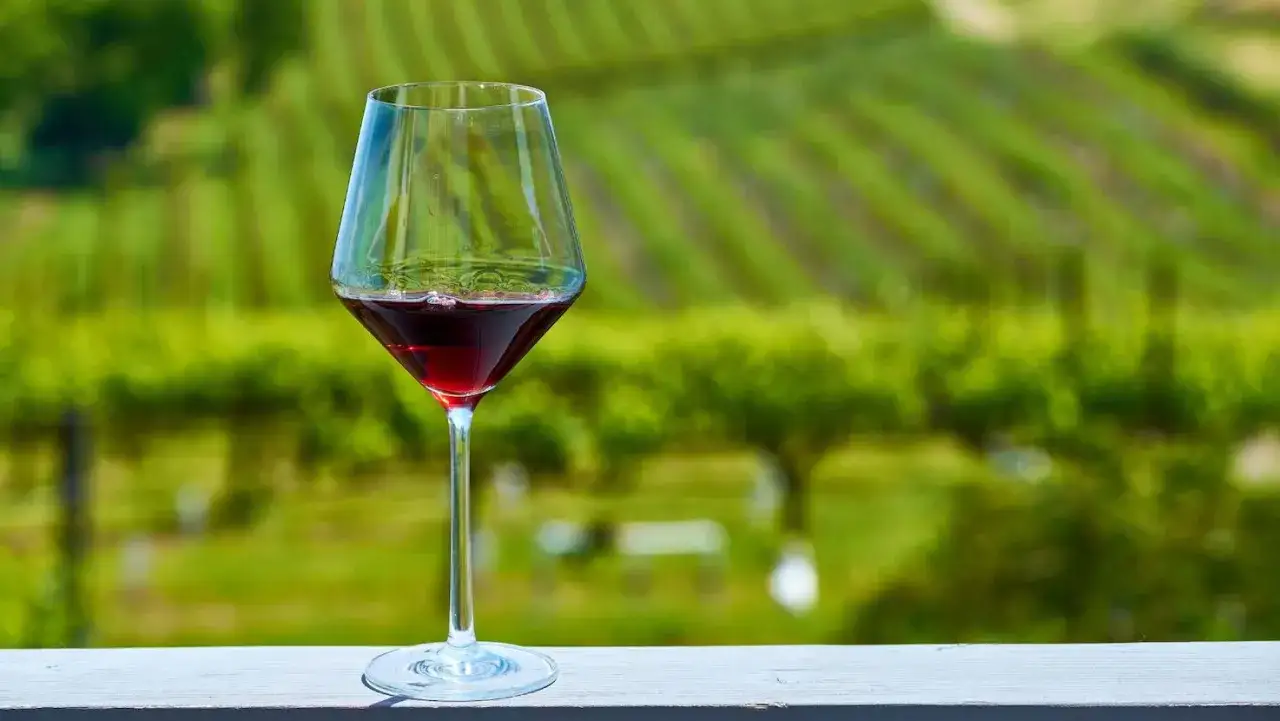 Un bicchiere di vino rosso rubino, simbolo di come si fa il vino rosso, con vigneti verdi sfocati sullo sfondo.