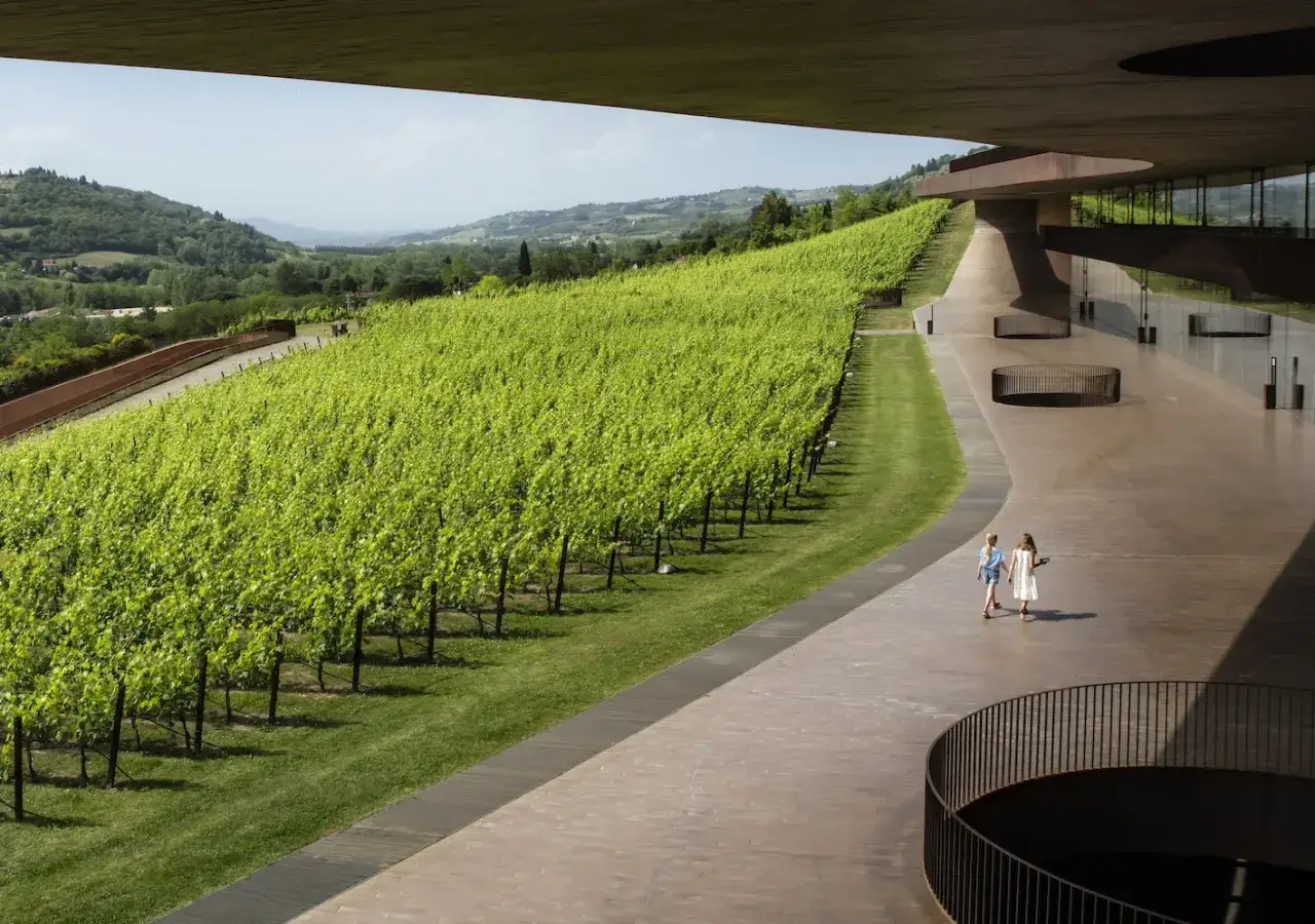 Vigneti rigogliosi in Toscana, preludio ai pregiati vini toscani rossi. Due figure passeggiano su un moderno percorso.