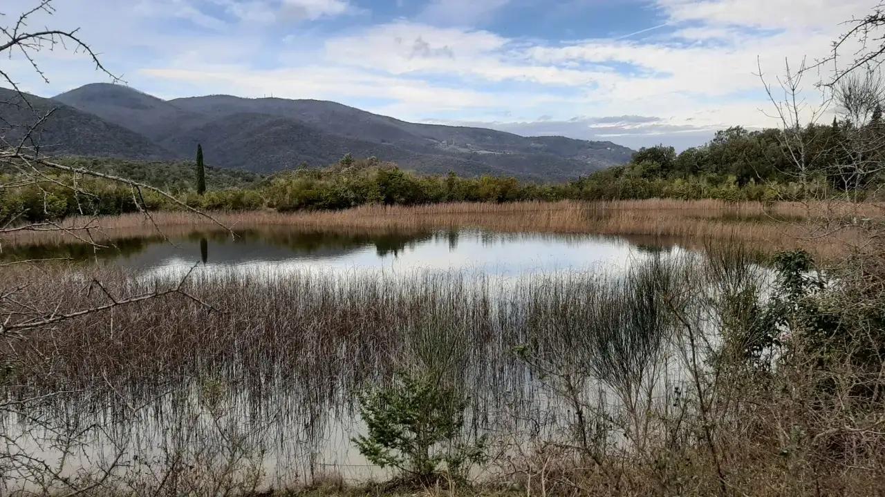 Laghetto tranquillo con canneti e montagne sullo sfondo, un luogo che ricorda la pace di Monterufoli Caselli.