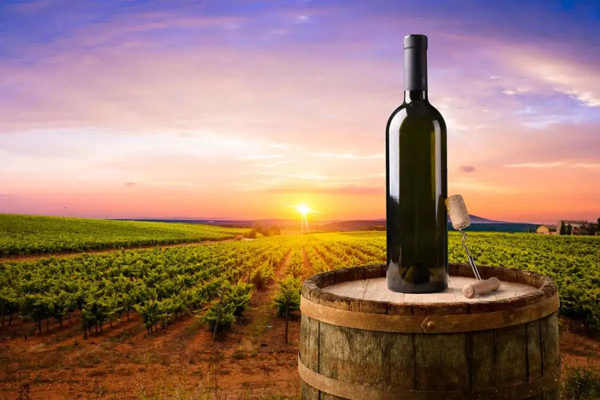 Tramonto su un vigneto, con una bottiglia di vino e un cavatappi su una botte. Il sole illumina i filari, promettendo un vino dal sapore di sangiovese.