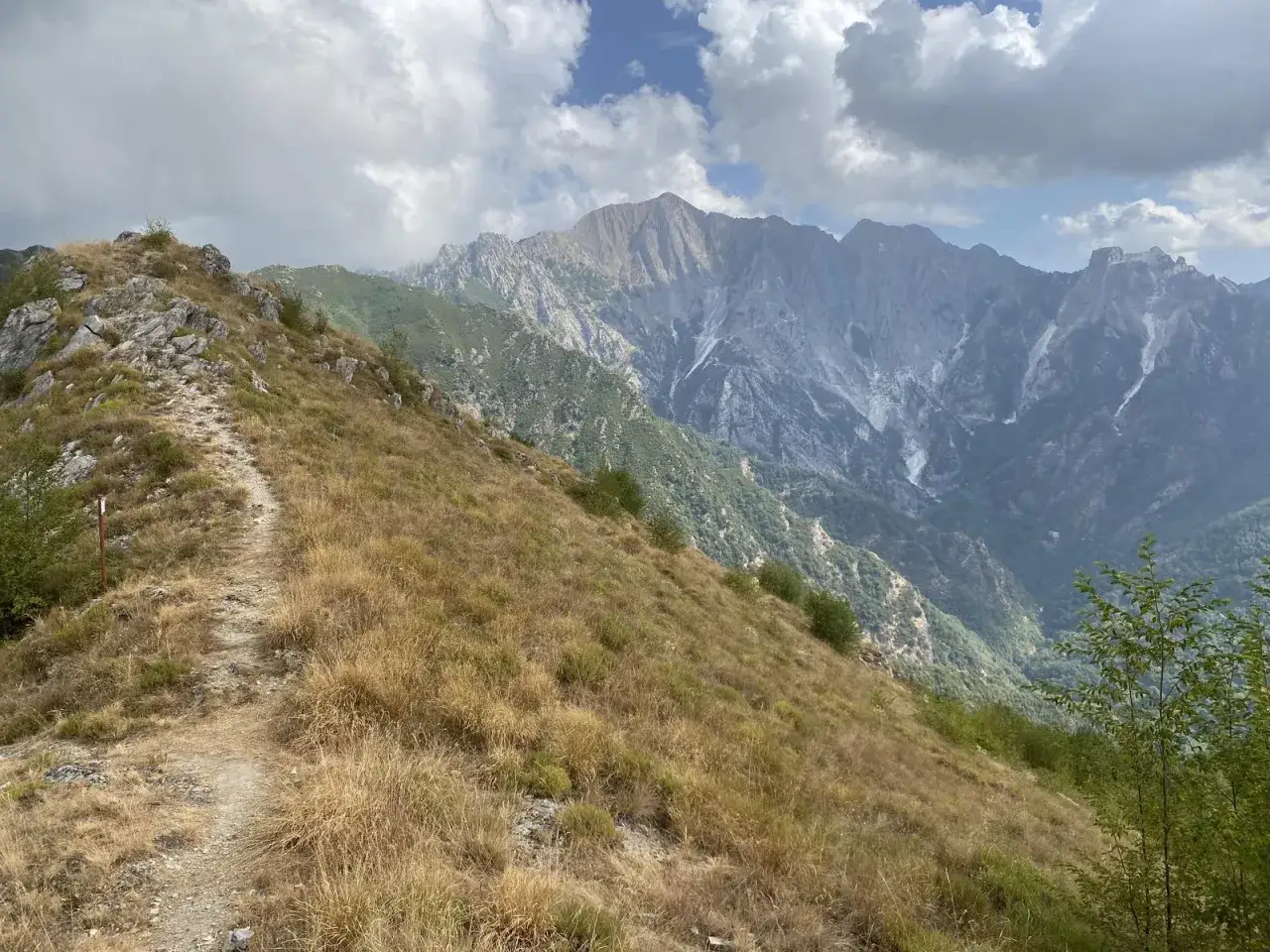 Sentiero roccioso in montagna, con erba secca e alberi. In lontananza, imponenti vette rocciose, forse un pasquilio massa.