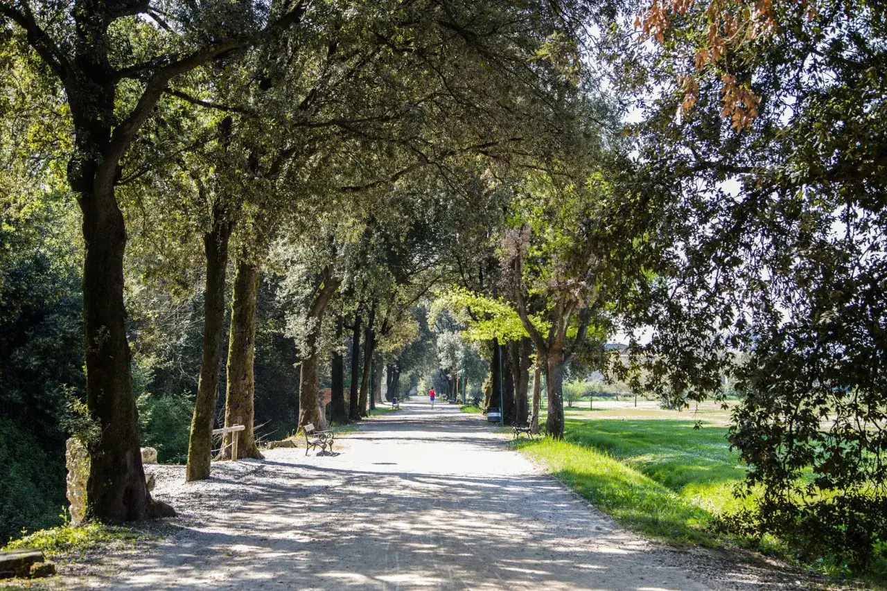 Viale alberato con panchine, ideale per passeggiate rilassanti, ricorda le antiche cascine di tavola.