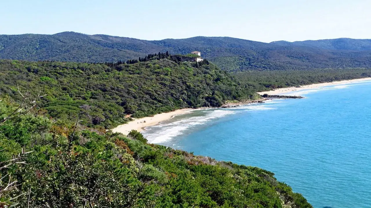 Spiaggia selvaggia delle Bandite di Scarlino, con mare azzurro, pineta rigogliosa e una villa in collina.