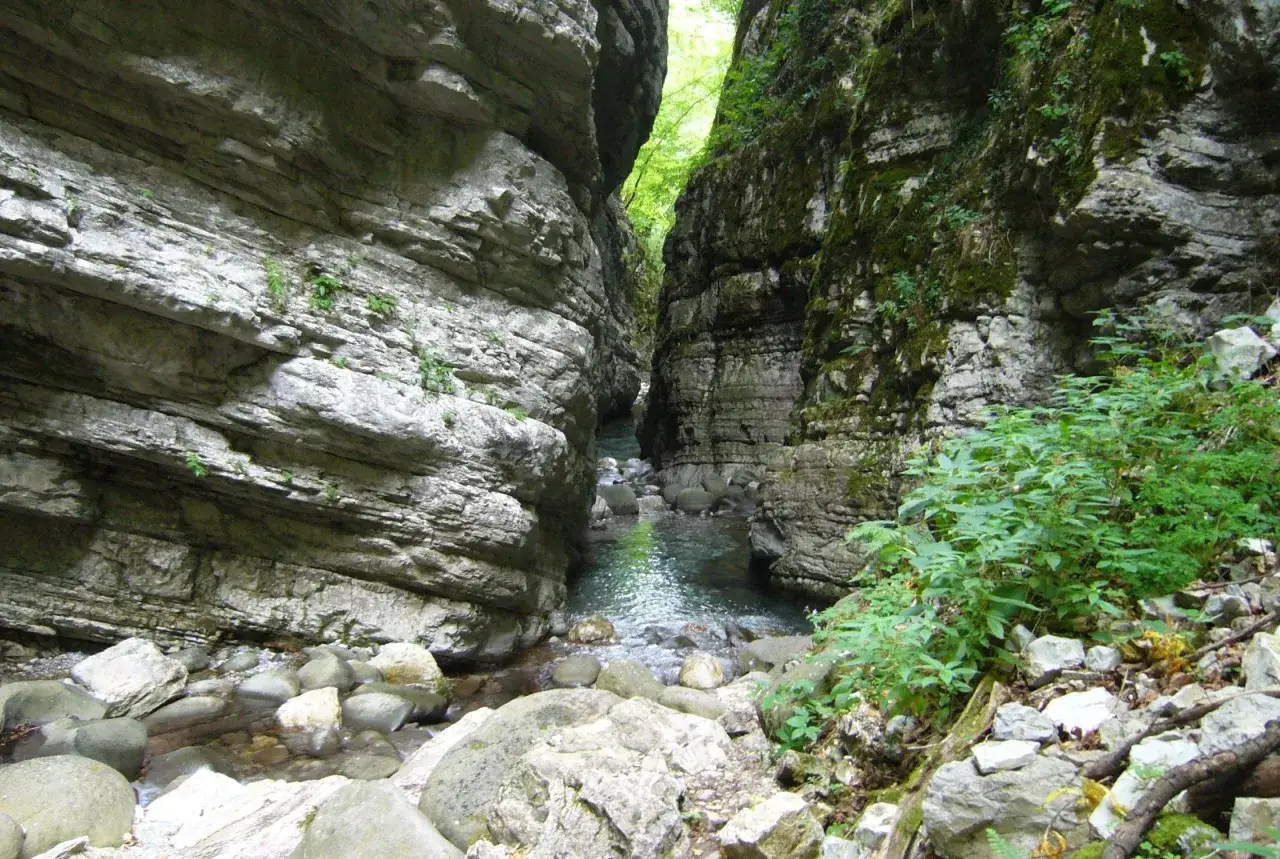 Stretto e profondo, il orrido di Botri accoglie un torrente tra pareti rocciose imponenti. Vegetazione rigogliosa si aggrappa alle rocce.