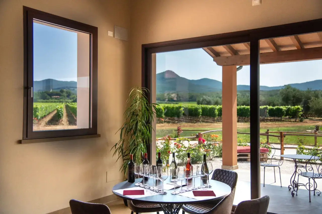 Degustazione di vini alla tenuta di Vaira Bolgheri, con tavola apparecchiata e vista sui vigneti toscani.