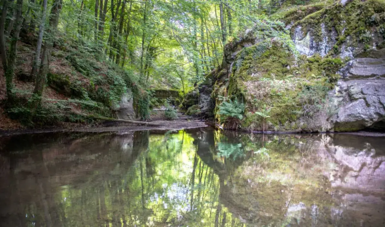 Sentiero nel bosco con torrente e rocce muschiose. Ideale per scoprire cosa fare sul Monte Amiata, tra natura e tranquillità.