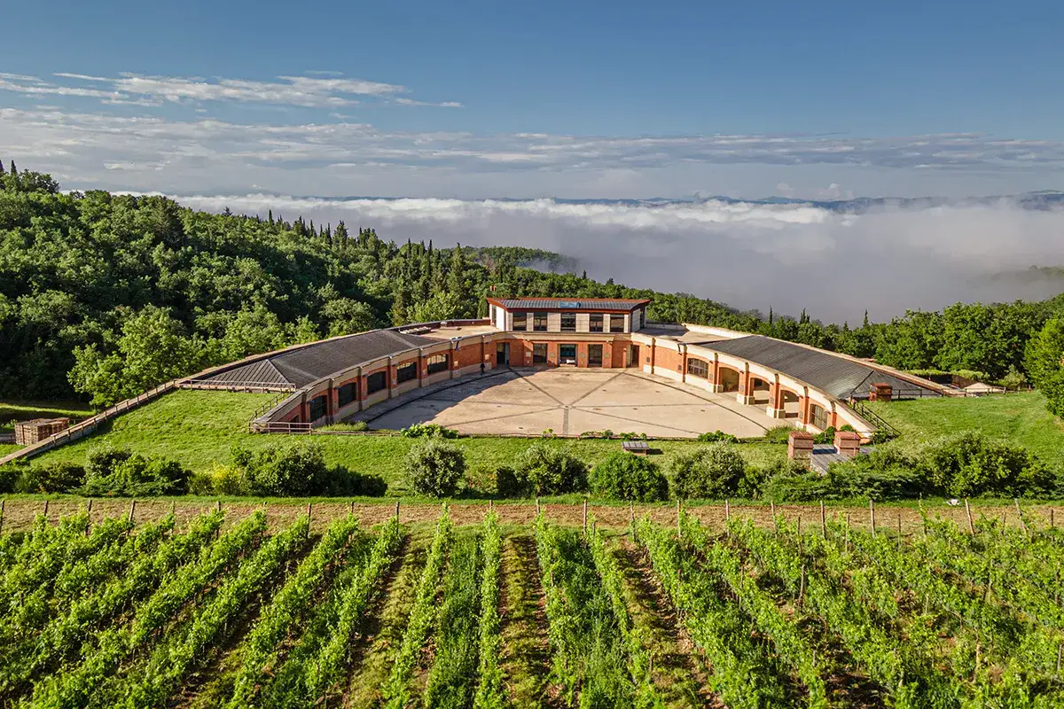 Un suggestivo tour cantine Chianti in una tenuta toscana con vigneti rigogliosi e un edificio moderno a forma di anfiteatro, immerso nel verde.